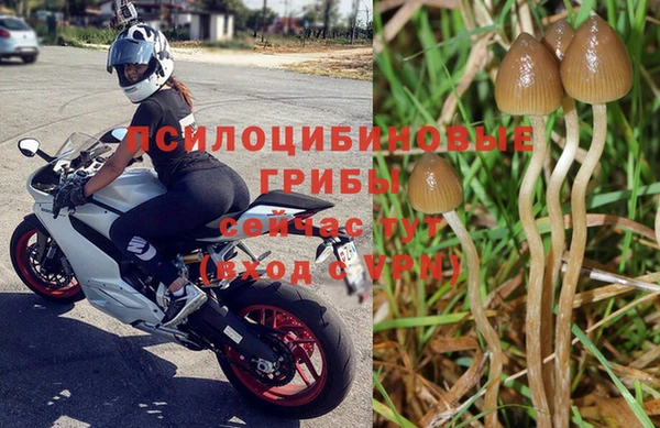 ALPHA-PVP Абинск