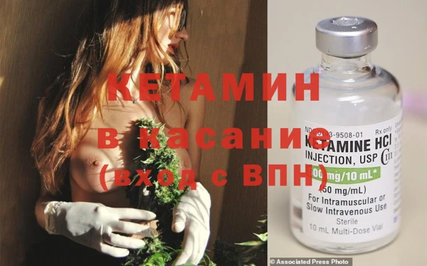 трава Абаза