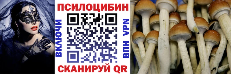 Псилоцибиновые грибы мицелий  Оренбург 